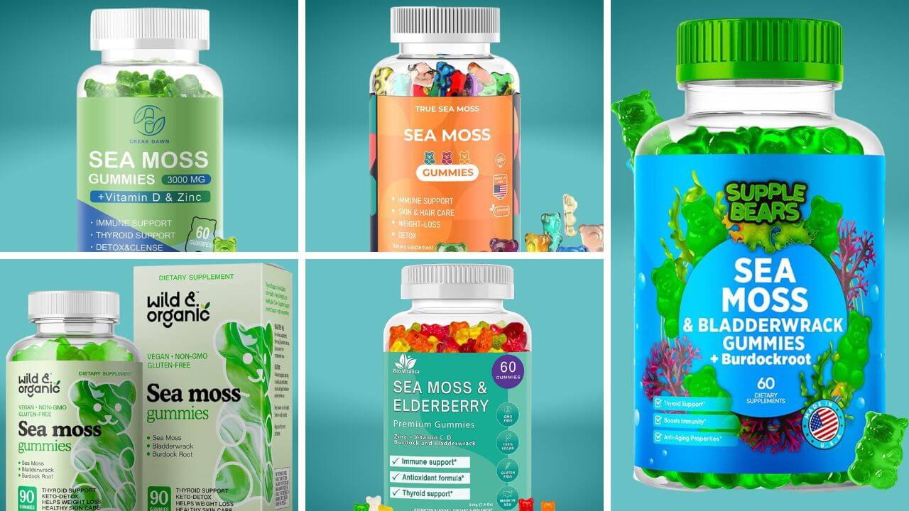 Collage of the top 5 brands for the best sea moss gummies on a teal background.